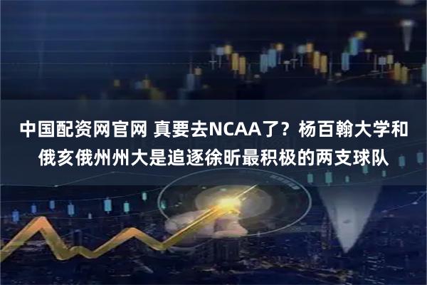 中国配资网官网 真要去NCAA了？杨百翰大学和俄亥俄州州大是追逐徐昕最积极的两支球队