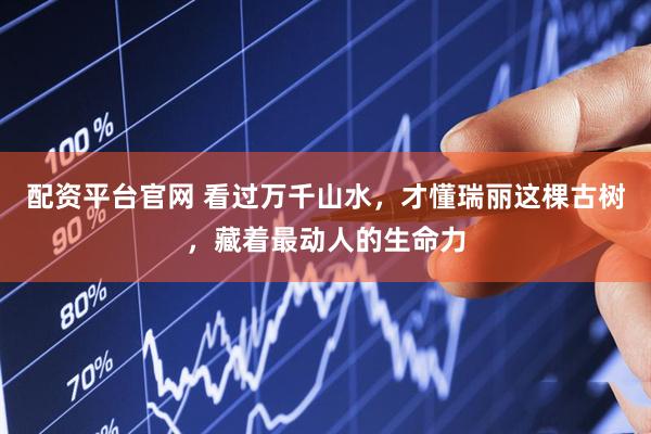 配资平台官网 看过万千山水，才懂瑞丽这棵古树，藏着最动人的生命力